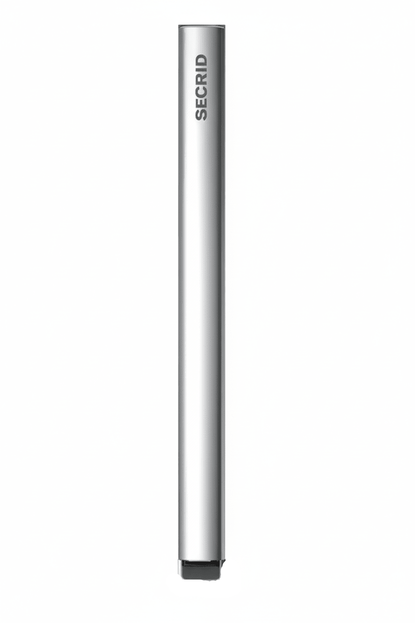 Cardprotector Secrid C - silver - Pelletteria Allegrini