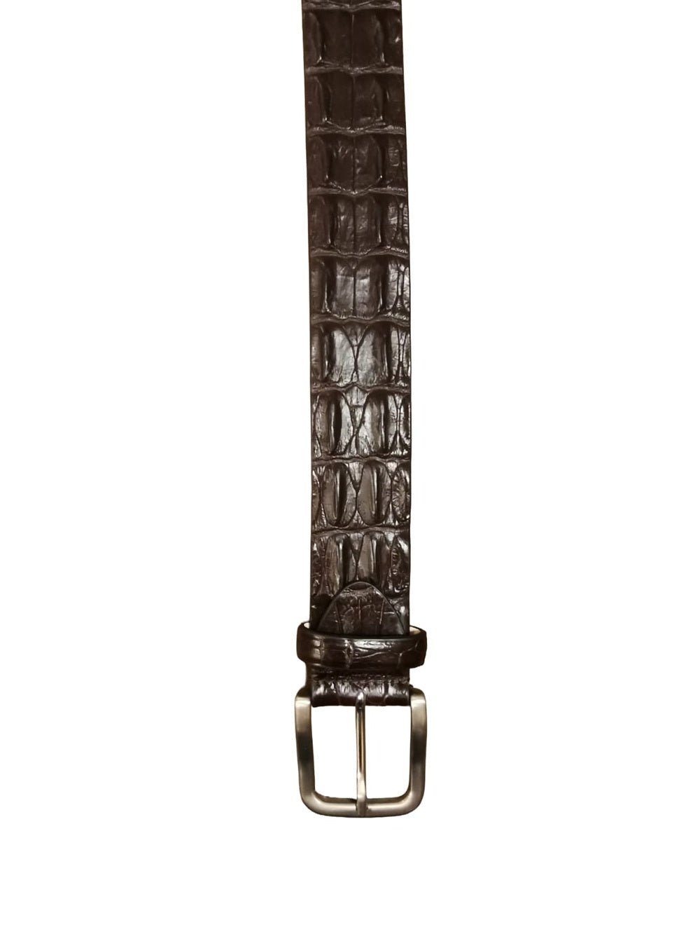 Cintura uomo in schiena di vero coccodrillo Pelletteria Allegrini Filippo C326 Testa di moro - Pelletteria Allegrini